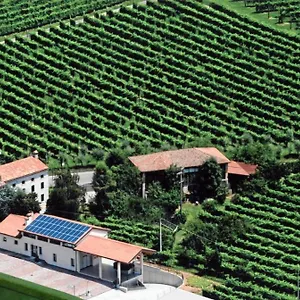 Apartment Ricca Vigna